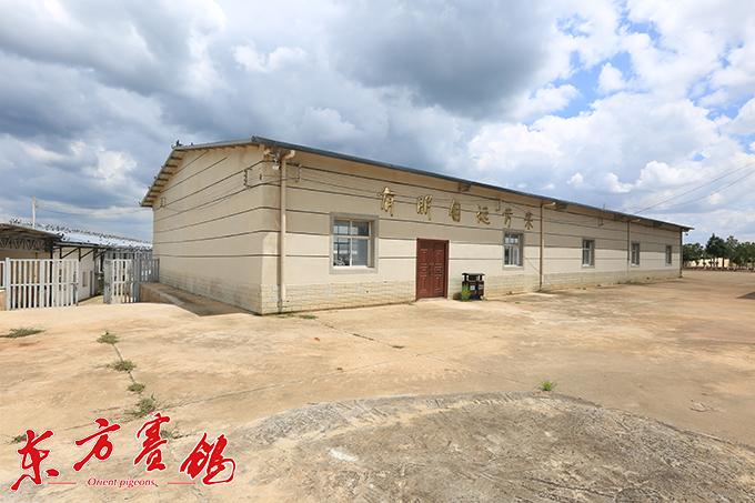 云南宇松春秋棚誓为鸽友写春秋云南宇松赛鸽中心欲用五年创一流