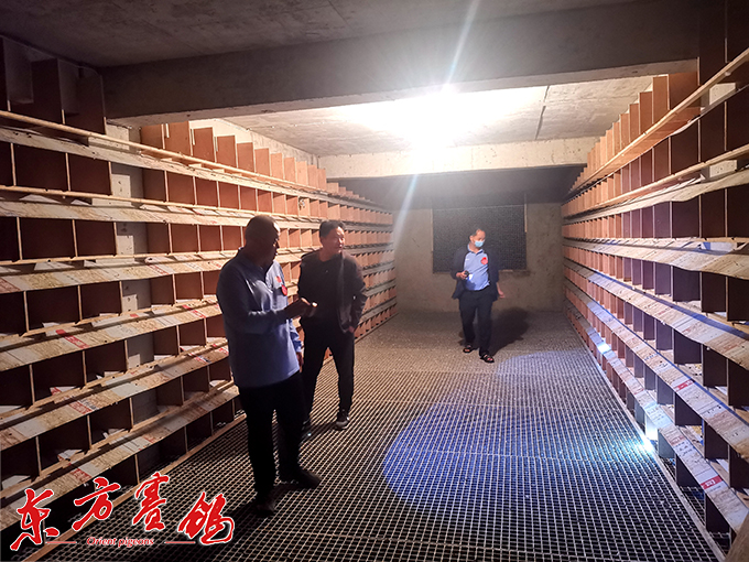 高温磁暴挠 健将仍凯旋 ——翠枫园小棚300公里预赛遭遇高温磁暴仍