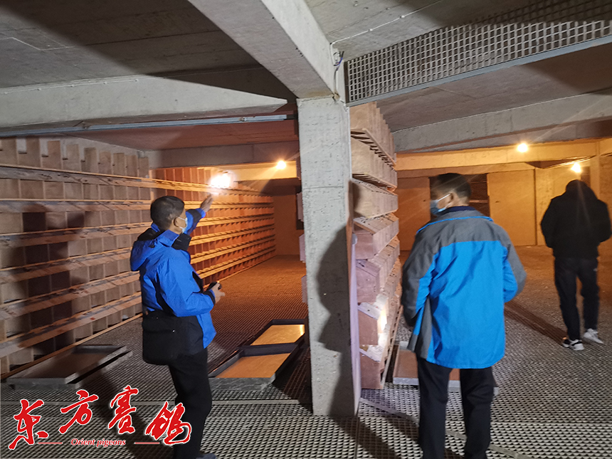 逆风高湿山障多 晴天归巢也艰难 ——翠枫园小棚决赛两日有效归巢192