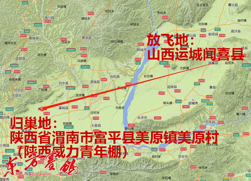 威力青年棚首戰高歸巢喜迎開門紅威力青年棚第一關180