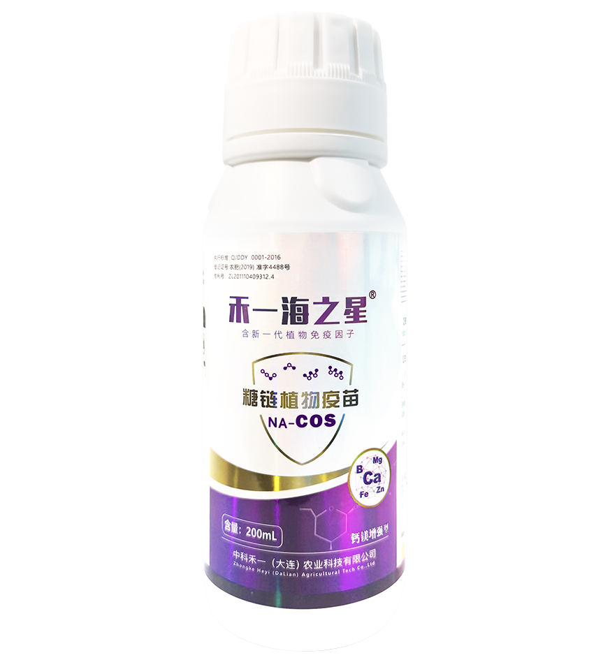 钙镁增强型200ml