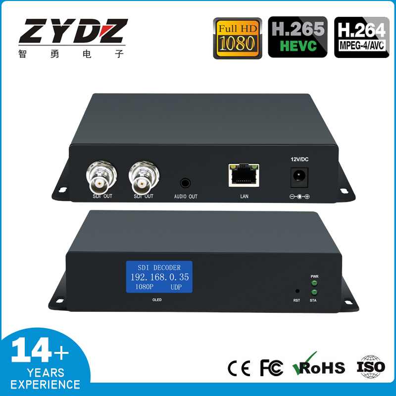ZY-DS901