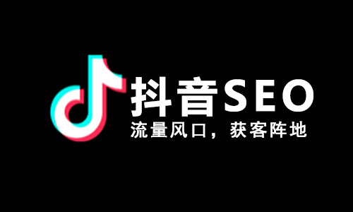 抖音SEO推广公司要投入多少钱？