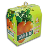 江西赣南脐橙