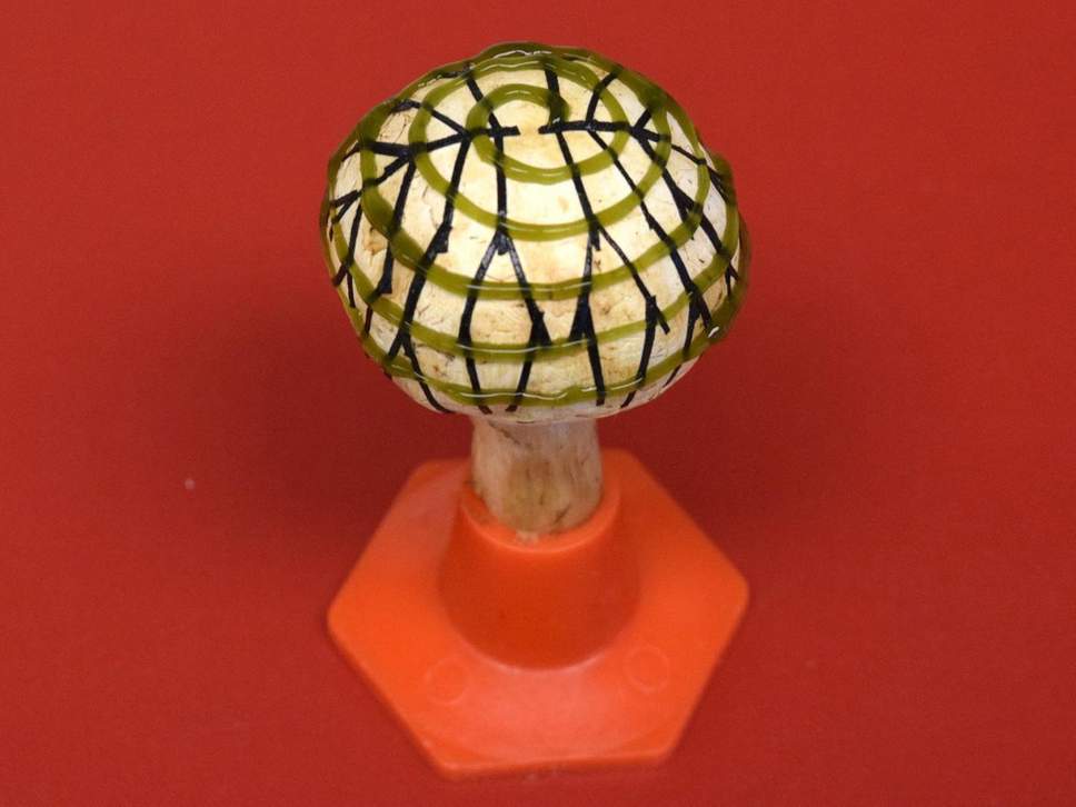 3D打印仿生蘑菇