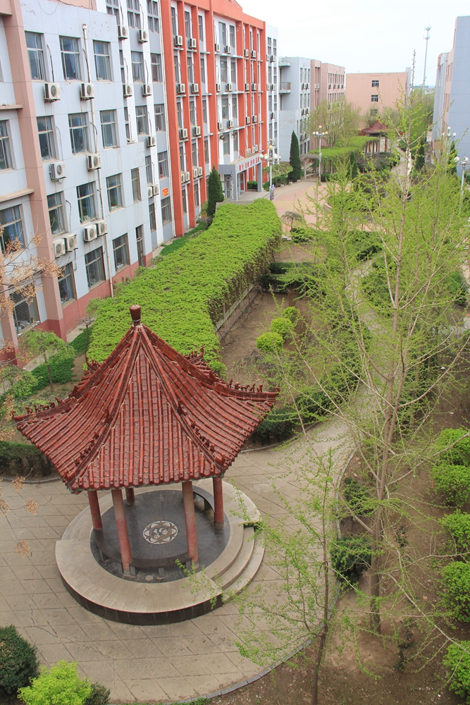 校园春光-河北郑口中学