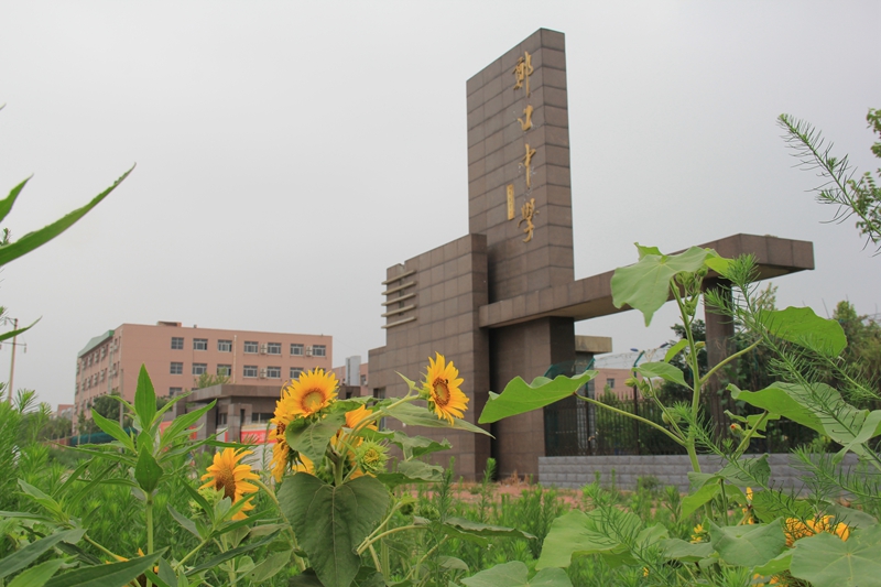 郑中校园风景展示