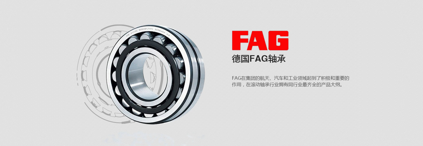 FAG轴承