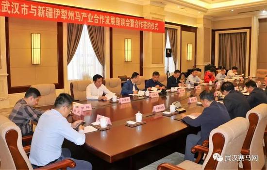 政策解读：武汉2019年马产业专项基金及其使用