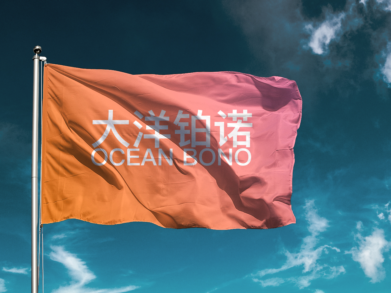 大洋铂诺DIY-1-旗帜