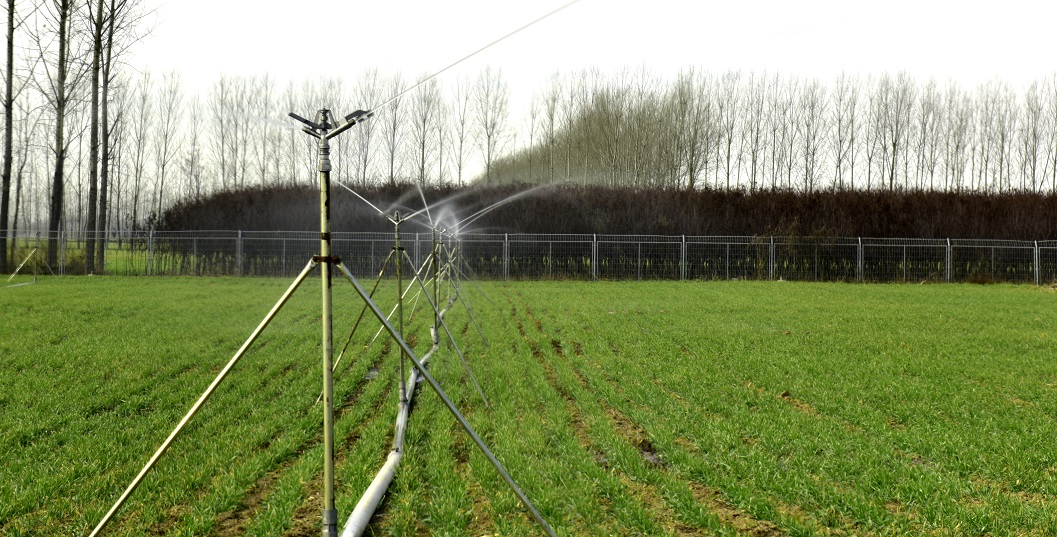 半固定喷灌试验区