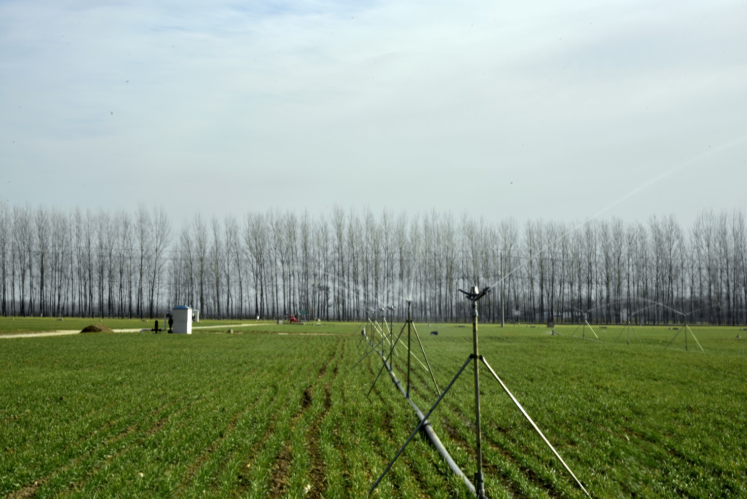 半固定喷灌试验区