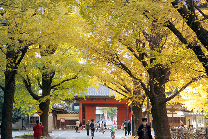 东京大学-东京大学2