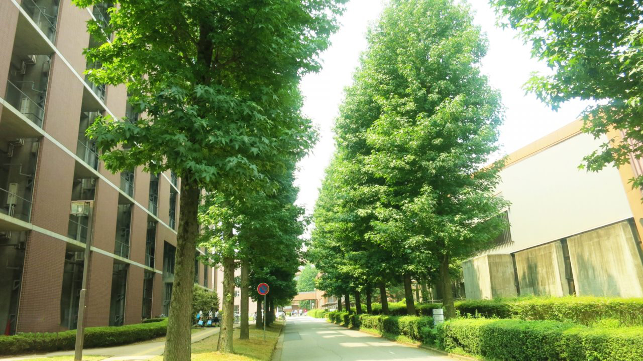 名古屋大学-名古屋大学-1