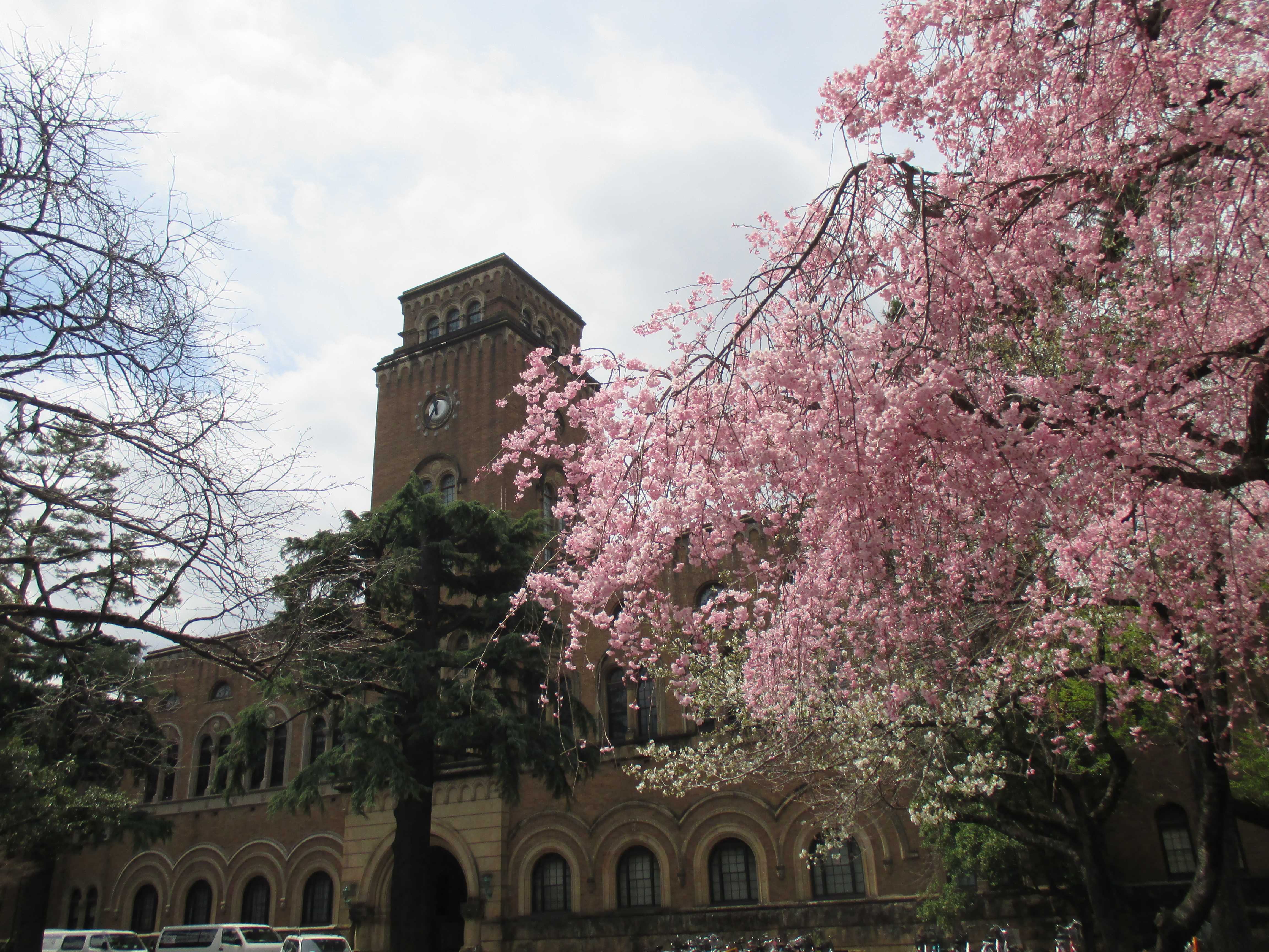 一桥大学-一桥大学-2