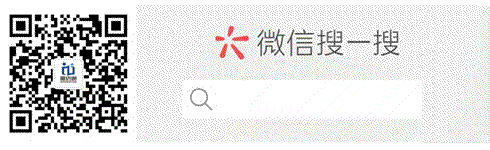 微信搜一搜越南语服务号动图-灰色