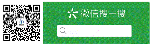微信搜一搜越南语服务号动图-绿色