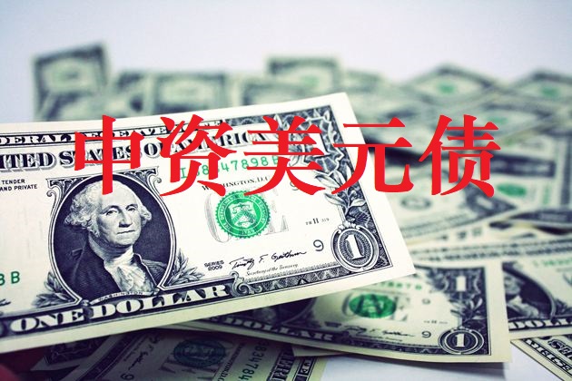 所回落,二级市场回报率出现分化—2019年三季度中资美元债研究报告