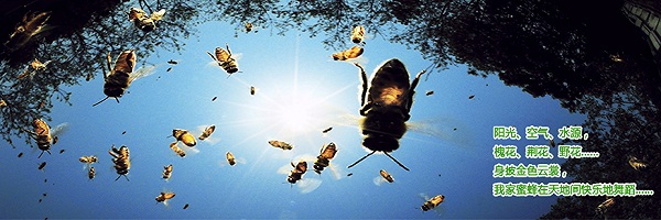 蜂蜜 蜂王浆 蜂花粉 蜂胶 蜂蜡 老蜂巢 作用与功效大 幸福溜养蜂场纯真蜂产品