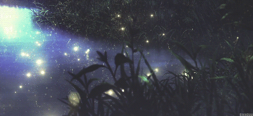 640_wx_fmt-gif-tp-webp-wxfrom-5-wx_lazy-1-1