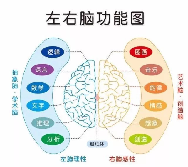 为什么珠心算突然间火了?学界权威钦点珠心算——珠心算大有裨益