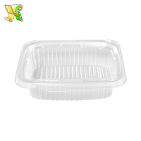 Food-grade-disposable-plastic-box-food-packaging