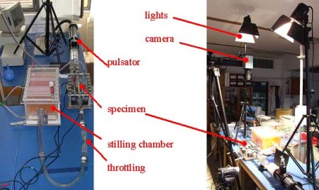 Fig3_Experimental_Setup