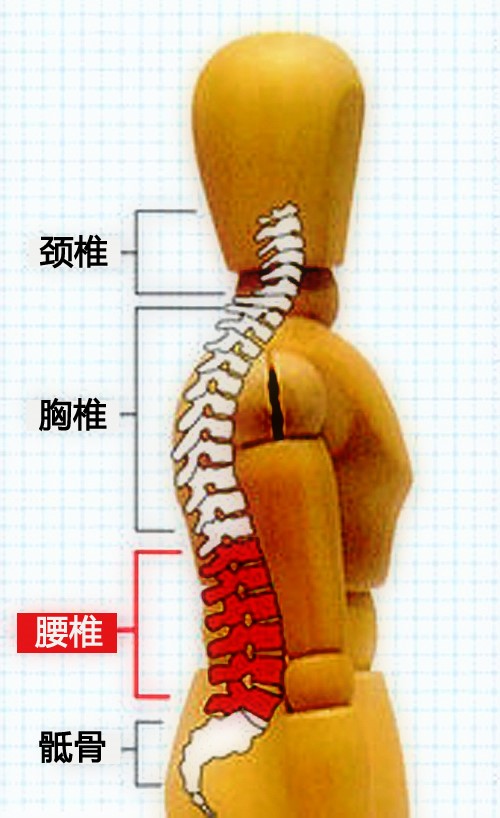 29图01