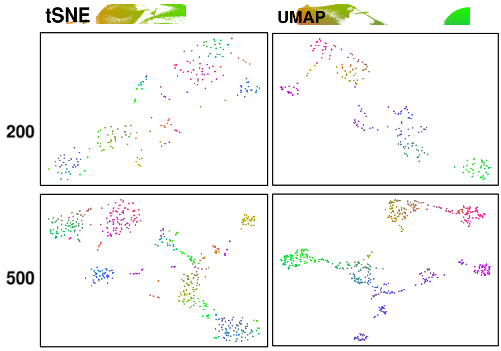 图2tSNE-UMAP