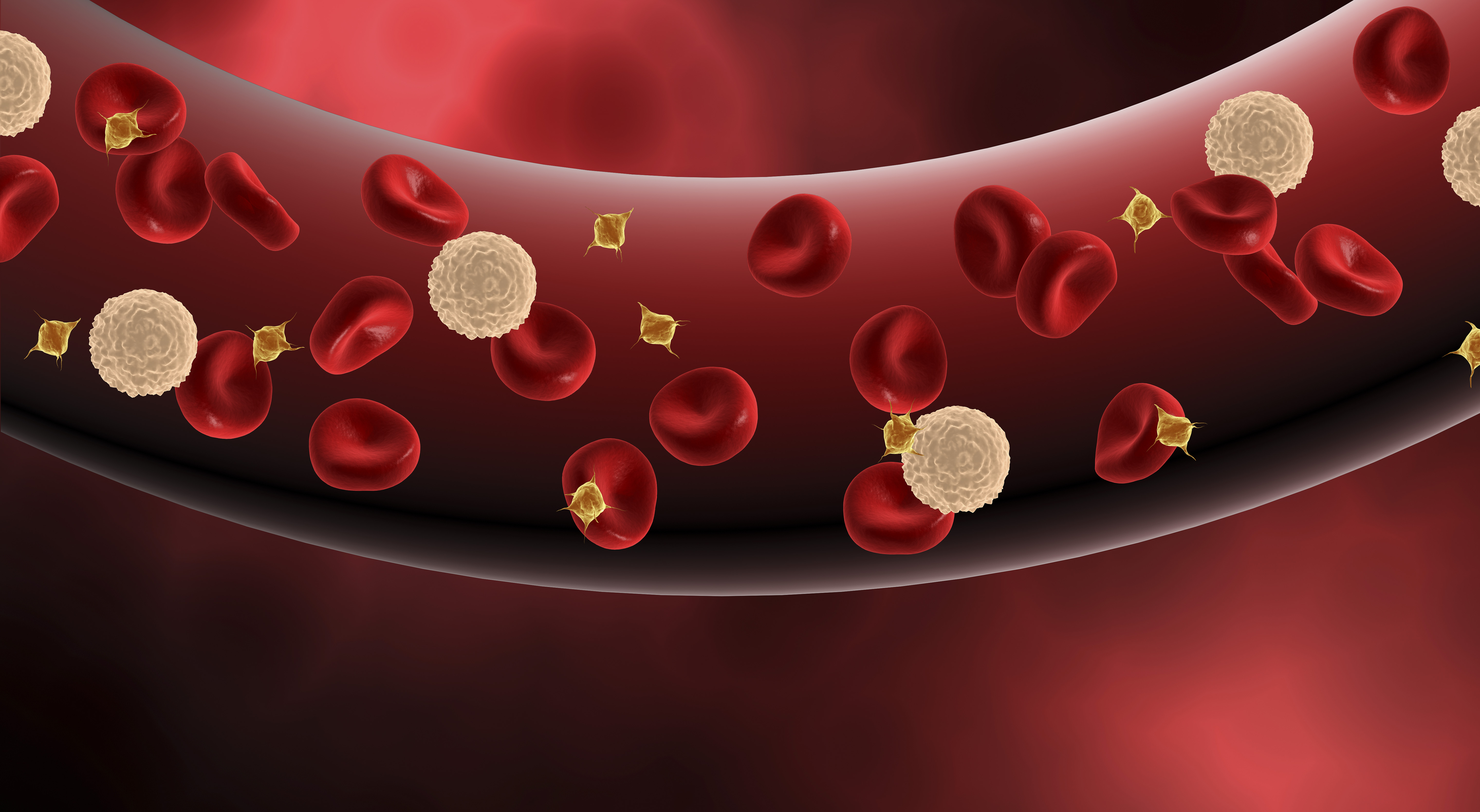 3,对造血功能的影响:因为骨髓造血细胞处于高速分化的过程中,化疗药物
