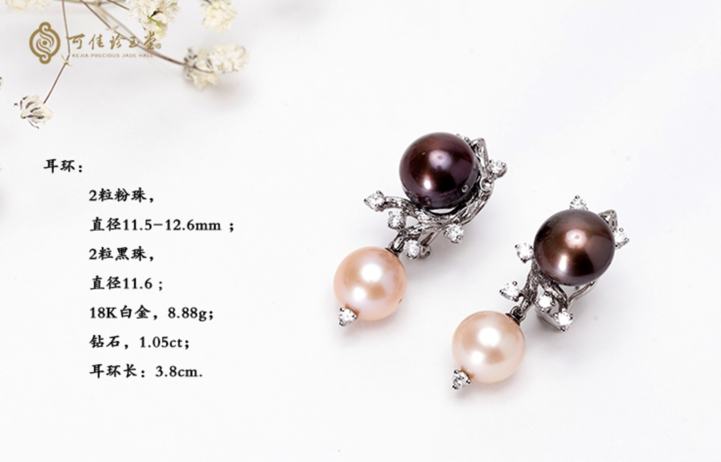 QQ20190329-110745@2x
