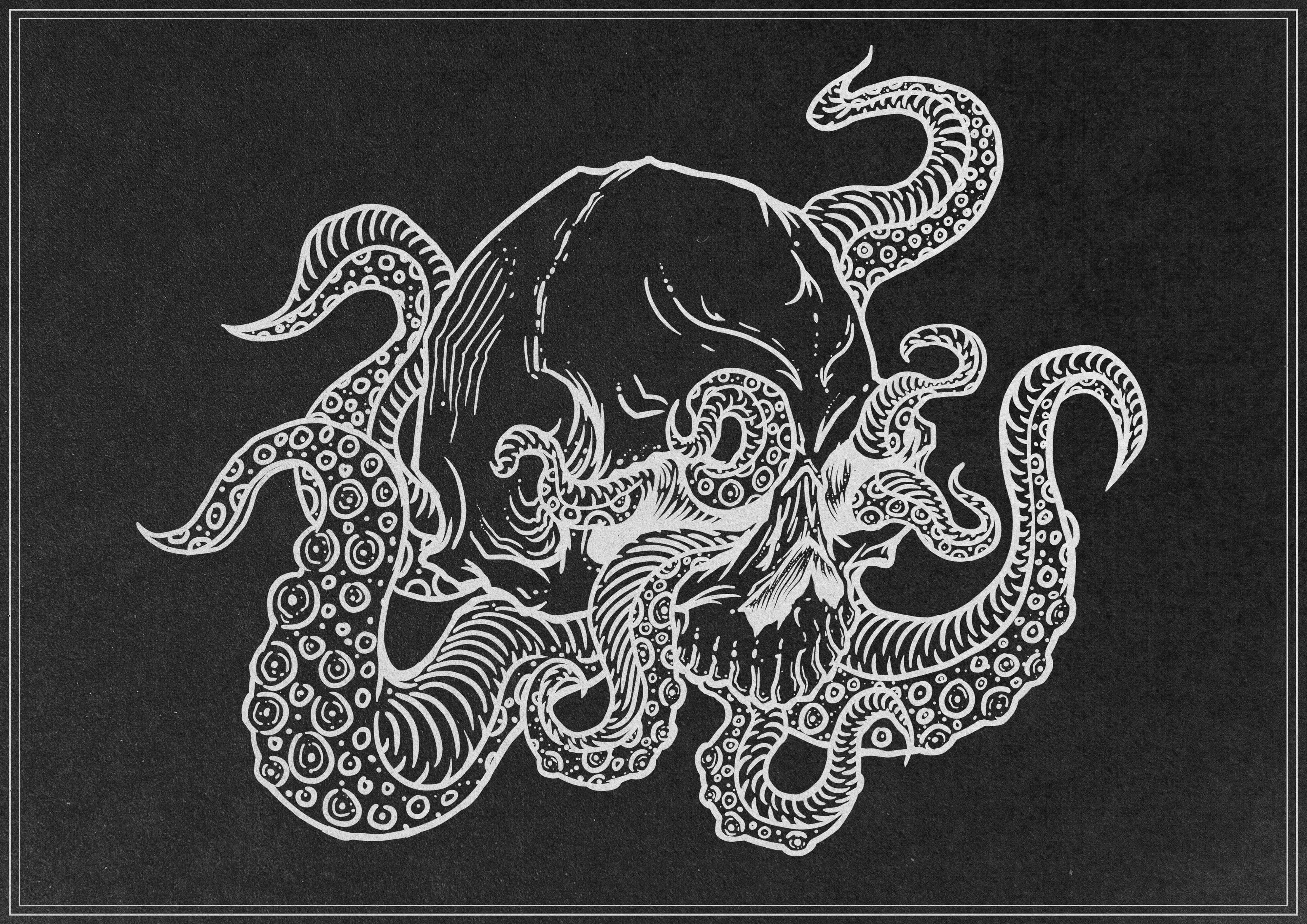 骷髅章鱼效果图的副本