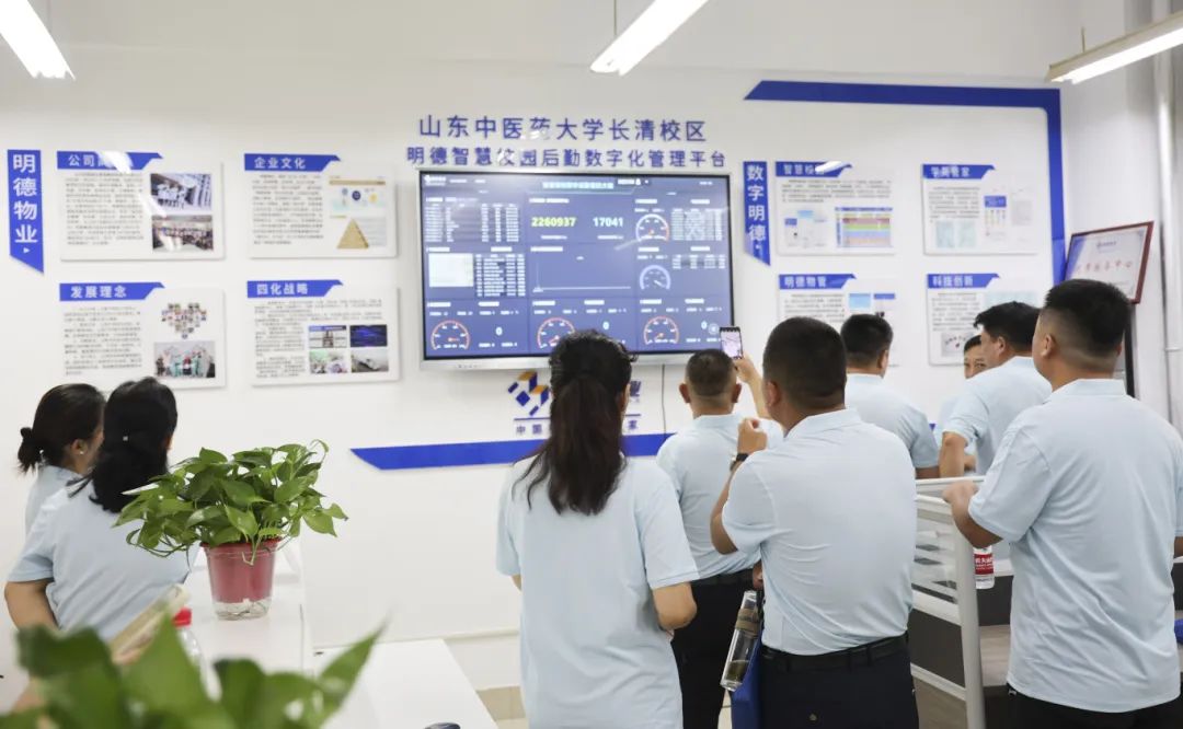 山东明德集团怎么样(山东明德资产管理有限公司)