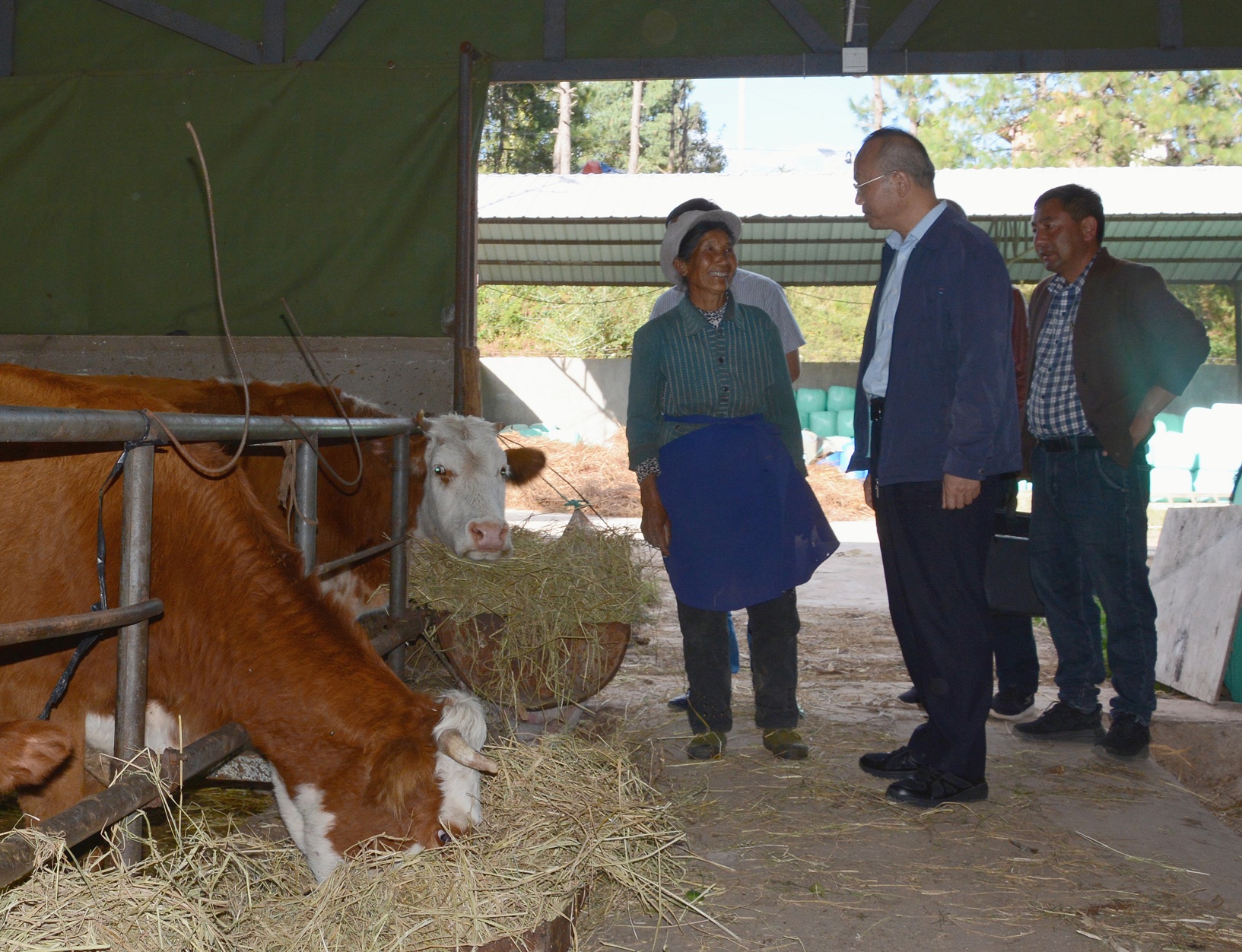 靳汝柏调研羊岑乡巩固拓展脱贫攻坚成果推进乡村振兴工作情况-大理