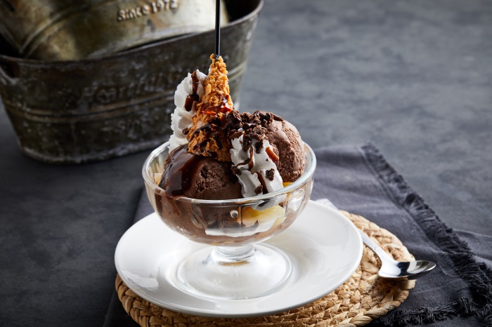 巧克力冰淇淋33197