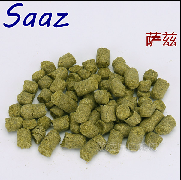 saaz