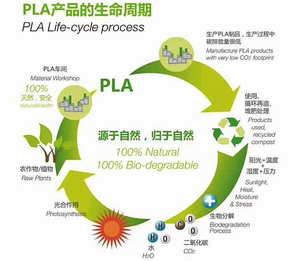 PLA Biodegradable Sheet Production Line