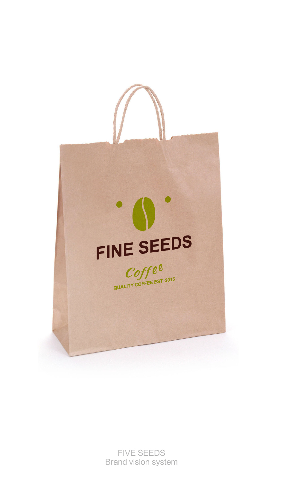 FIVESEEDS视觉系统OL-12