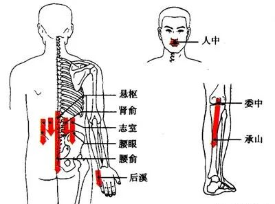 中暑刮痧刮哪些部位图图片