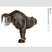 夔牛清香型 有机生态茶 金海月茶业 铁