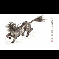 金海月铁观音 麒麟浓香型 有机生态铁观音
