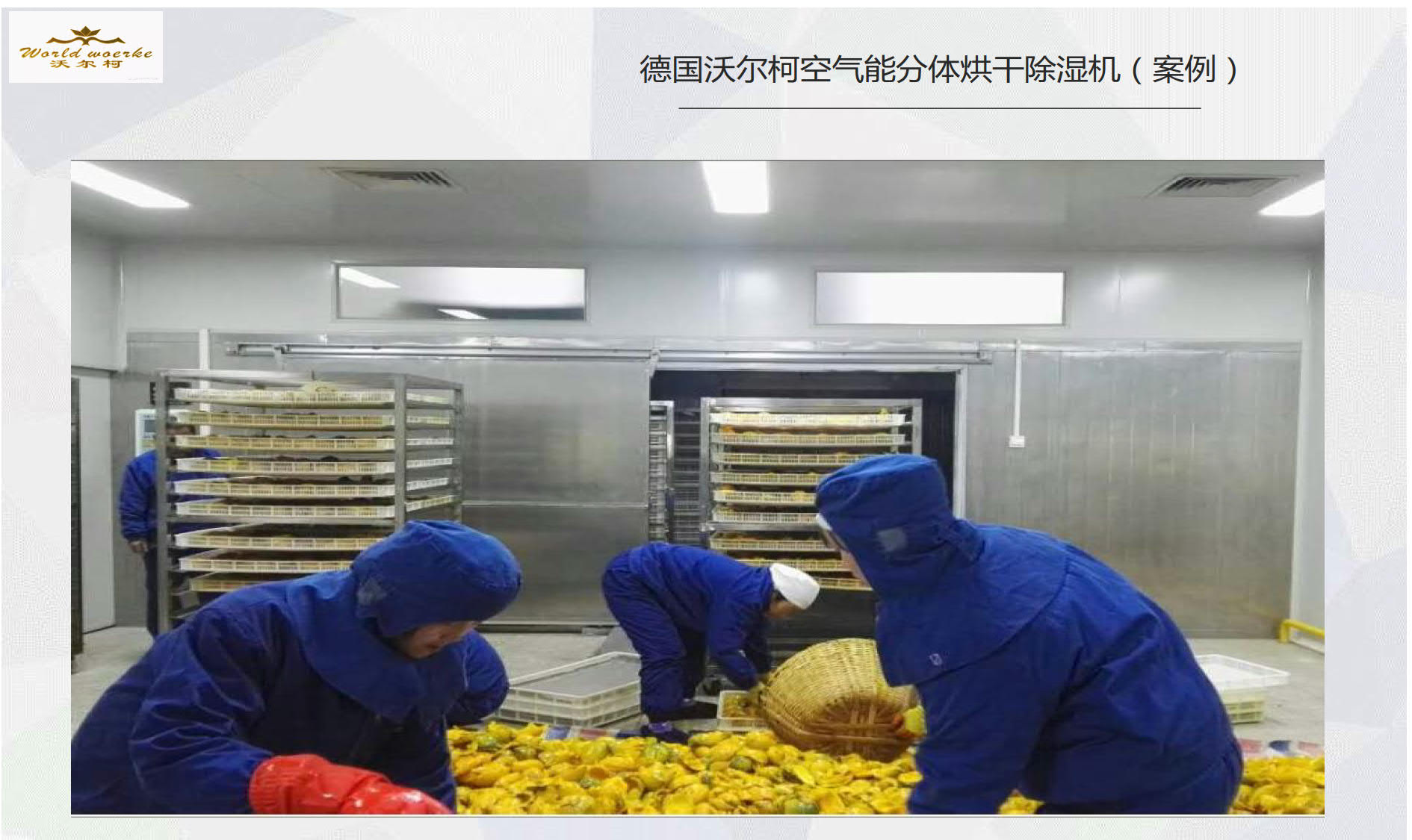 沃尔柯-烘干机组-包括污泥烘干全品类A_12
