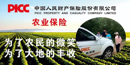 20198中国人保保险常识宣传