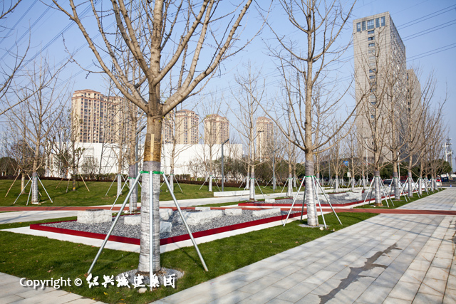 幸福公園5