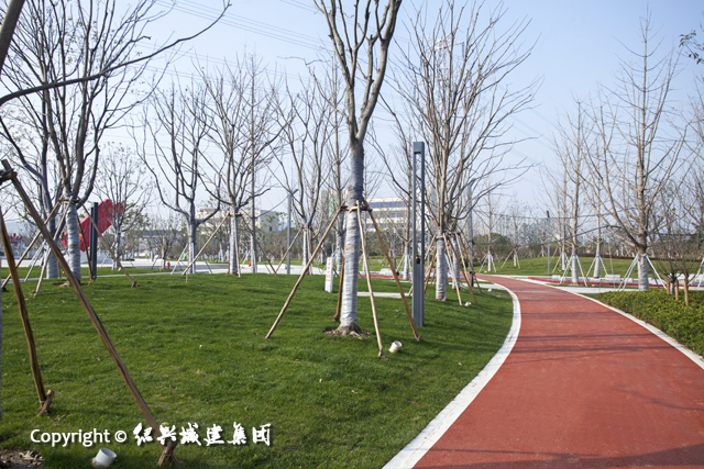 幸福公園6