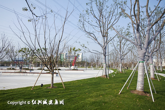 幸福公園9