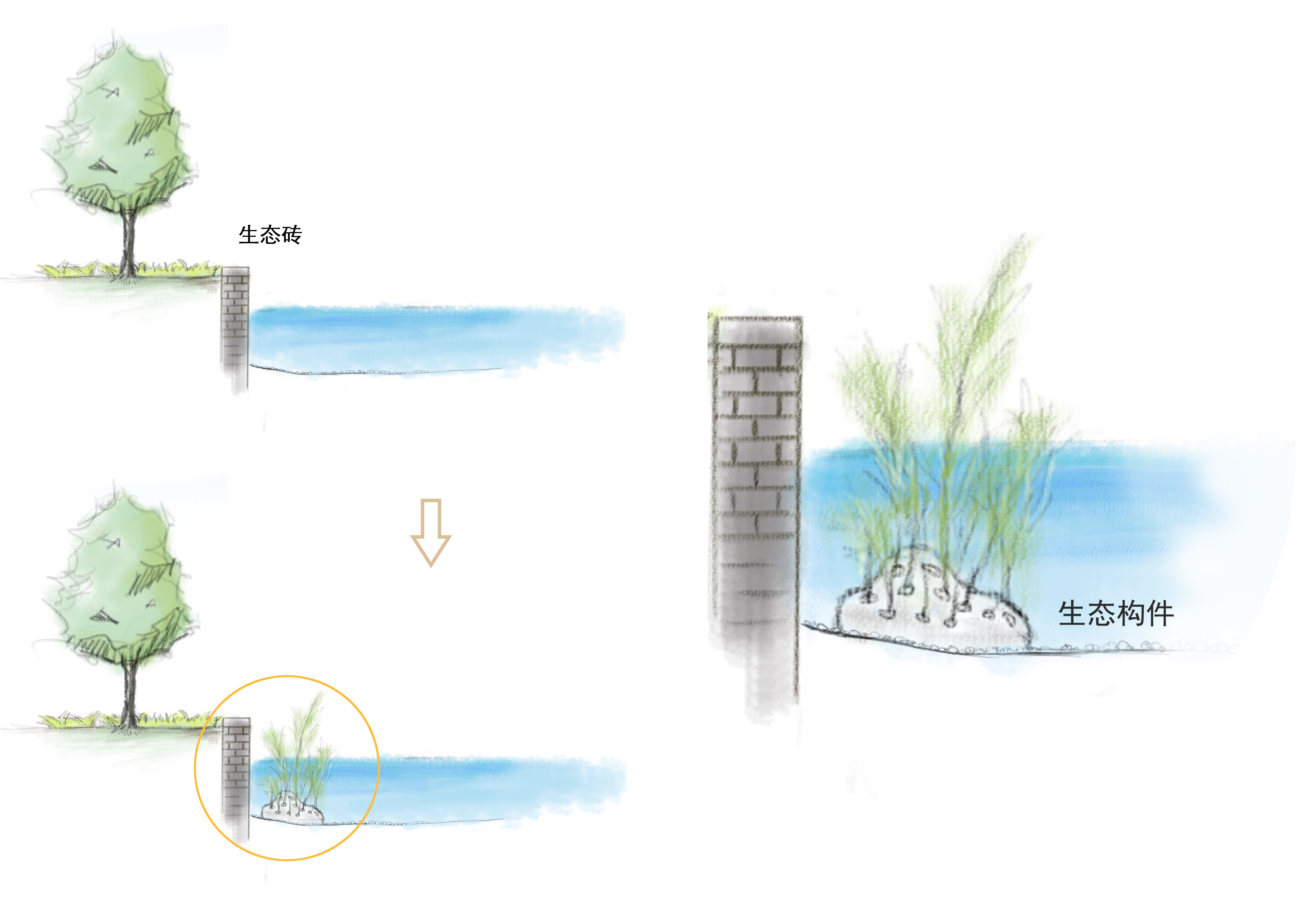 图6生态构件意向图01