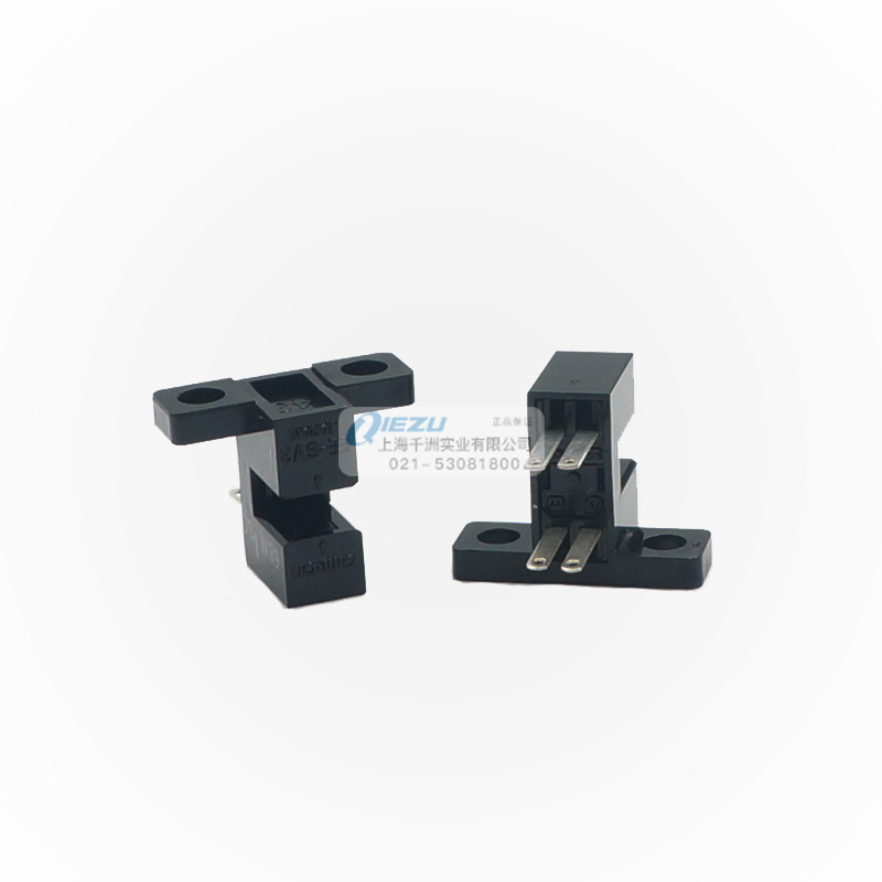 EE-SV3-DS.1