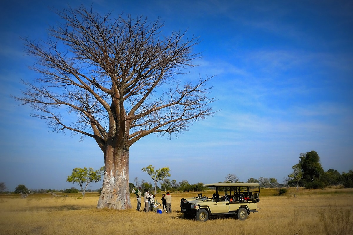 三角洲-Botswana-Safari-Okavango-Delta-8-min