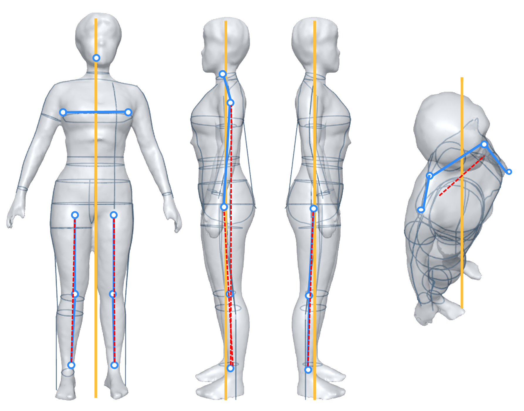 艺用人体解剖|平面|信息图表|SUSPECTLAB - 原创作品 - 站酷 (ZCOOL)